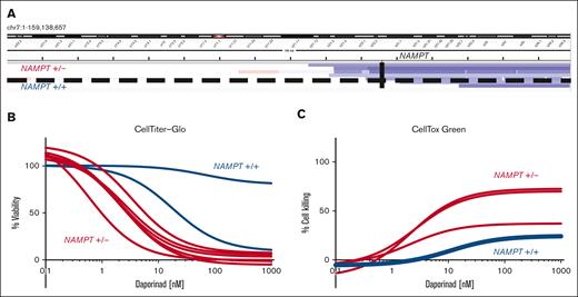 AML with 7q deletion that does not encompass NAMPT lacks sensitivity to NAMPT inhibition. (A) Genomic coverage plot showing the location of the deletion breakpoint in del(7q) AML samples with respect to the NAMPT gene locus. In 2 AML cases, a del(7q) breakpoint was on the telomeric side of NAMPT, maintaining the locus diploid (NAMPT+/+). The deletion breakpoint locations were determined based on exome sequencing. (B) Ex vivo daporinad dose response of 2 NAMPT+/+ AML samples with del(7q) compared with AML samples with NAMPT haploinsufficiency (NAMPT+/−). Cell viability was measured by CTG (B), and cell death by CTxG (C).