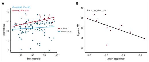 Impact of blast percentage and NAMPT copy number on daporinad sensitivity in AML samples with -7/-7q. (A) Scatterplot showing the relationship between daporinad sensitivity and blast percentage in AML samples with -7/-7q (n = 13). (B) Scatterplot showing the relationship between daporinad sensitivity and NAMPT copy number in AML samples with -7/-7q (n = 12). Analyzed using Pearson correlation test.