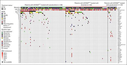 Baseline genetic alteration landscape in 210 patients with WM treated with BTKis. DNA mutation profile of patients with WM and the distribution of mutations among different study cohorts by mutation type and treatment status (TN and RR). Each column represents 1 patient, and each row represents 1 gene (represented by the gene symbol). Mutation rates of each gene are shown on the left. Mutation type, treatment status, and best overall response are color coded as shown in the figure legend. BM, bone marrow; BOR, best overall response; MR, minor response; PD, progressive disease; RR, relapsed/refractory; SD, stable disease; TN, treatment naïve.
