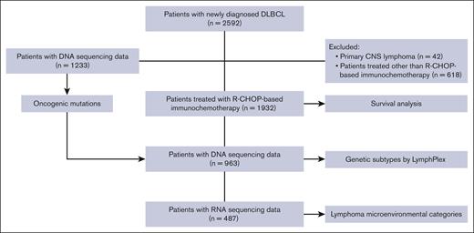 Patient flow diagram.