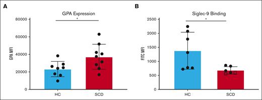 RBCs from patients with SCD present higher surface GPA expression with reduced Siglec-9-Fc binding. The median fluorescence intensity (MFI) of surface GPA was measured on healthy RBCs (blue) and on RBCs of patients with SCD pretransfusion (red) (n = 9) (A). The MFI for Siglec-9-Fc binding (B) was measured in RBC from healthy RBCs (blue), RBCs of patients with SCD pretransfusion (n = 4) (red), and from patients with untransfused SCD with >90% HbS (n = 2) (marked with squares); comparison performed using unpaired t tests. Error bars represent standard deviation. ∗ P < .05.