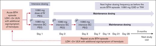 Study design. Patients enrolled in the OLE study who experienced an acute BTH event had the opportunity to receive either intensive subcutaneous or intravenous pegcetacoplan as an acute treatment for BTH. Patients who experienced an acute BTH event but had chosen not to receive intensive pegcetacoplan could continue to participate in the OLE study with the potential to receive a dose adjustment to 1080 mg every third day or 3 times weekly. BTH, breakthrough hemolysis; LDH, lactate dehydrogenase; PEG, pegcetacoplan; Q3D, every 3 days; SC, subcutaneous; TIW, 3 times weekly; ULN, upper limit of normal.
