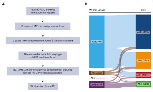 The flow chart of selecting patients with AML for this study and their composition based on WHO-HAEM5 and ICC classifications. (A) The flowchart outlining the eligibility criteria for the study. (B) The overlapping cases between the WHO and ICC classifications, demonstrating the flow of the study cohort within the 2 classifications. ∗APL with PML::RARA (4), AML with RUNX1::RUNX1T1 fusion (8), AML with CBFB::MYH11 fusion (17), AML with DEK::NUM214 fusion (2), AML with KMT2A rearrangement (16), AML with MECOM rearrangement (13), AML with NPM1 mutation (150), AML with CEBPA mutation (21), AML with BCR::ABL1 fusion (3), AML with other defined alterations (3).
