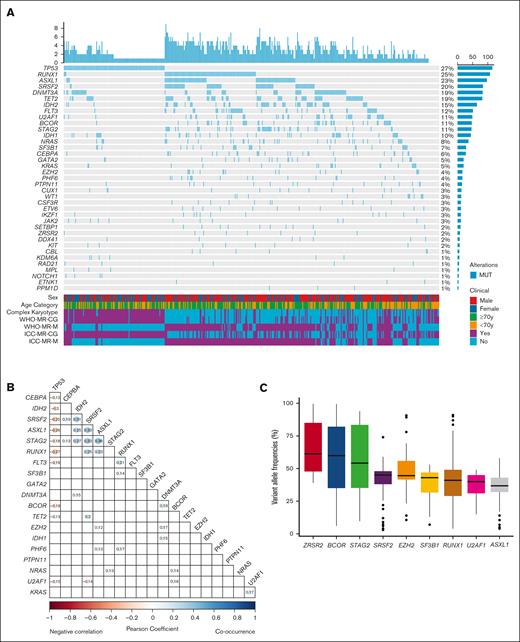 Mutation landscape of the study cohort. (A) Comutation oncoprint of the study cohort. Genes with genomic alterations are listed in descending order of frequency. Each column represents a patient, and each row represents a gene alteration or clinical feature. The top barplot shows the number of mutations for each patient and the right barplot shows the percentage of samples that have alterations for each gene. The bottom heatmap shows the clinical parameters of each patient. (B) Correlation plot of the commonly mutated genes. Blue color indicates positive correlation and red color indicates negative correlation. Values represent the coefficients and significant pairs are shown. (C) Analysis of variant allele frequencies (VAFs) of MR defining mutations in the study cohort. The boxplot shows the median (solid line), 25th, 75th percentiles, and minimum and maximum VAF observed across the patients who harbored the MR gene mutations. The order is sorted by median VAF from high to low.