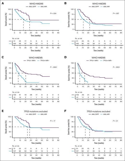 Kaplan-Meier survival plots comparing WHO-HAEM5 defined patients. (A, B) OS and EFS between AML-MR and AML-DIFF. (C, D) OS and EFS between AML-MR without TP53 mutations (TP53−/MR+) and AML with mutated TP53 but without MR gene mutations (TP53+/MR−). (E, F) OS and EFS in AML-MR and AML-DIFF after excluding the TP53 mutations.