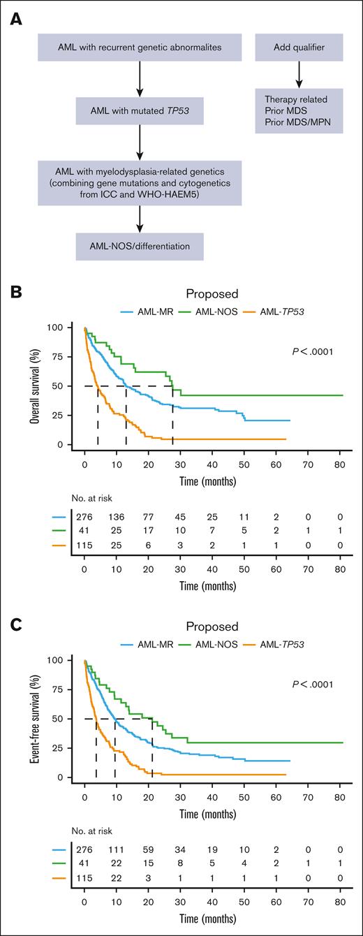 Proposed classification algorithm and predicted outcomes. (A) Proposed algorithm for harmonization of 2 classifications with respect to AML myelodysplasia-related genetics. (B, C) Kaplan-Meier survival plots of OS and EFS based on the proposed algorithm.