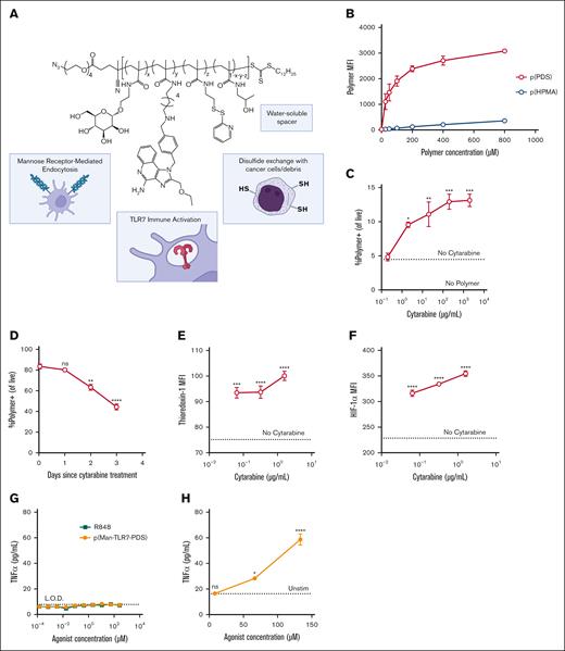 PDS-containing polymers bind C1498 cells aided by cytarabine pretreatment in vitro and activate splenocytes ex vivo. (A) Schematic of full cysteine–binding polymeric glycoadjuvant, p(Man-TLR7-PDS). (B) MFI of concentration-dependent binding of fluorescently-labeled p(PDS) or “spacer” only p(HPMA) to C1498 cells as quantified by flow cytometry. (C) C1498 cells were pretreated with varying doses of cytarabine for 4 hours before polymer incubation. MFI data of cytarabine-dependent binding of labeled p(PDS) are shown. (D) C1498 cells were pretreated with 10 μg/mL cytarabine at various time points before polymer incubation. MFI data of time-dependent binding of labeled p(PDS) are shown. C1498 cells were treated with varying doses of cytarabine for 18 hours and demonstrated dose-dependent increase in intracellular thioredoxin-1 (E) and hypoxia-inducible factor 1 alpha (F). Statistics shown are relative to untreated condition. (G) C1498 cells or (H) whole mouse splenocytes were stimulated for 8 hours with varying concentrations of p(Man-TLR7-PDS) or R848 and evaluated for TNFα secretion. All data are plotted as mean ± standard error of the mean (SEM; n = 3). All experiments were repeated with similar results. Statistical analyses were performed using ordinary 1-way analysis of variance with multiple comparisons. ∗P < .05; ∗∗P < .01; ∗∗∗P < .001; ∗∗∗∗P < .0001; MFI, mean fluorescence intensity; ns, not significant.