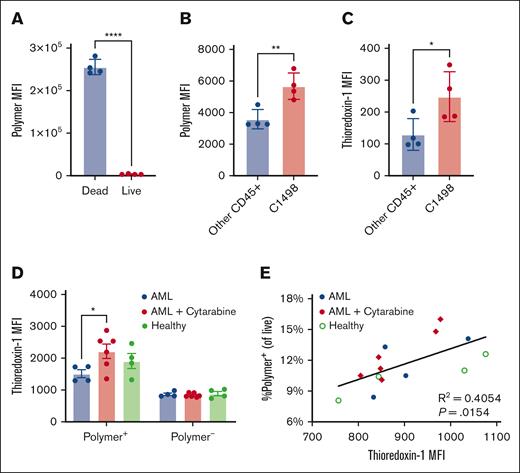 PDS polymers preferentially bind C1498 cells and debris ex vivo, correlating with thioredoxin expression. (A-C) CD45.1 mice were inoculated with 1 million C1498 cells IV (n = 4). After 2 days, blood was collected, and white blood cells were isolated and incubated with labeled p(PDS-Man). Shown are (A) relative polymer binding to dead vs live cells or to (B) C1498 cells vs other CD45+ immune cells, as well as (C) overall intracellular Trx-1 levels in C1498 cells vs other CD45+ immune cells. (D-E) Separately, C57Bl/6 mice were inoculated with 1 million C1498 cells intravenously (n = 4-5). After 3 days, a subset of mice was treated intraperitoneally with cytarabine, and after 4 hours, blood was collected. Whole blood was incubated with labeled p(PDS-Man). Red blood cells were removed via ACK lysis, and remaining cells were stained for flow cytometry. (D) Intracellular Trx-1 levels were quantified separately in cells that were polymer+ and polymer–. (E) Frequency of polymer+ cells is correlated with Trx-1 expression. All data are plotted as mean ± SEM (n = 3). Statistical analyses were performed using unpaired t tests (A-C), ordinary 2-way analysis of variance with multiple comparisons (D), and Pearson correlation. ∗P < .05; ∗∗P < .01; ∗∗∗∗P < .0001.