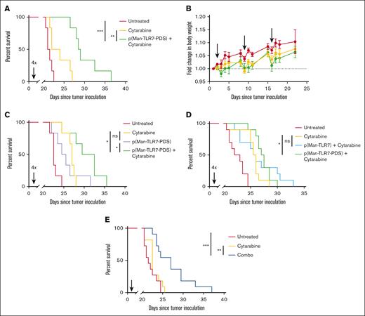 p(Man-TLR7-PDS) combination therapy significantly enhances overall survival. C57Bl/6 mice were inoculated with 1 million C1498 cells IV (day 0). For each experiment, combination treatment was administered with 2 mg cytarabine on day 1 followed by 40 μg TLR7 equivalent of p(Man-TLR7-PDS), repeated weekly. Time between injections and number of weeks of treatment varies as described. (A-B) Combination treatment was separated by 24 hours and administered for 4 weeks (n = 6), and mice were tracked for (A) overall survival and (B) change in body weight through first event. (C) Combination treatment was compared in its survival benefit to single-agent efficacy of p(Man-TLR7-PDS) (n = 6). (D) p(Man-TLR7-PDS) combination treatment was compared in its survival benefit to an equivalent TLR7 dose of molecular weight–matched, nonbinding control polymer p(Man-TLR7) in combination with cytarabine. Data are pooled from 2 separate experiments in which combination treatment was separated by 24 hours and administered for 4 weeks (n = 5 each replicate; 10 total). (E) Combination treatment was separated by 6 hours and administered for 1 week and evaluated for its survival event in a single injection context. Data are pooled from 2 separate experiments with identical conditions (n = 5-6 each replicate; 11 total). All data are plotted as mean ± SEM. Statistical analyses were performed using pairwise log-rank (Mantel-Cox) curve comparison for survival with multiple testing correction. ∗P < .05; ∗∗P < .01; ∗∗∗P < .001; ns, not significant.