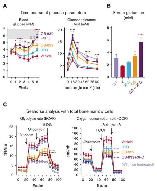 Analysis of metabolic parameters of mice from the experiment shown inFigure 3(n = 12 per group). (A) Left panel: Time course of nonfasting blood glucose levels. Right panel: glucose tolerance test. Blood glucose concentration was measured at different time intervals after injecting glucose IP in all the mice treated in the experiment, at week 6 of treatment. In light purple, untreated WT mice (n = 6) analyzed separately. (B) Glutamine (Gln) concentration in the serum from treated mice at the end of the experiment (week 6) and from untreated WT mice (n = 3). C) Left panel: measurement of ECAR upon injection of glucose, oligomycin, and 2-DG, as an indication of lactate production. Right panel: OCR upon administration of oligomycin, FCCP, and Antimycin A, indicative of mitochondrial oxidative phosphorylation. Both experiments were performed in a 96-well plate Seahorse assay, with 2 × 105 BM cells per well (n = 12 mice per group). In light purple, results from BM cells from untreated WT mice (n = 6). The plots represent the mean ± SEM. 2-way ANOVA followed by Dunnett’s test for multiple comparison was applied in panels A,C and 1-way ANOVA with Dunnett’s test in panel B. ∗P < .05, ∗∗P < .01, ∗∗∗P < .001, and ∗∗∗∗P < .0001.