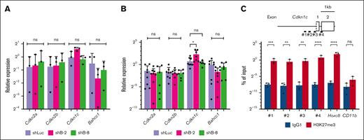 Derepression of Cdkn1c in immortalized LT-HSCs with Bahcc1 depletion. (A-B) RT-qPCR of Cdkn2a, Cdkn2b, Cdkn1c, and Bahcc1 in immortalized LT-HSCs transduced with shRNA/KO expressors. Cells sorted on the basis of high KO expression 72 hours after transduction (A), and colony-forming cells (B) derived from the shRNA-transduced cells shown in Figure 3C were analyzed. (C) ChIP-qPCR of H3K27me3 around exon 1 of Cdkn1c using FLAG-tagged-MLL-ENL-immortalized KSL cells. Primer sets (1-4) are shown (top). Hoxc8 and CD11b were used as controls. shLuc, shRNA against luciferase; shB-2 and shB-8, different shRNAs against Bahcc1. Bar graphs show the mean with SD of at least 3 independent experiments. ∗P < .05; ∗∗P < .01; ∗∗∗P < .001; ∗∗∗∗P < .0001; ns, not significant. ANOVA followed by Dunnett multiple comparisons for panels A-B and unpaired Welch t tests for panel C.