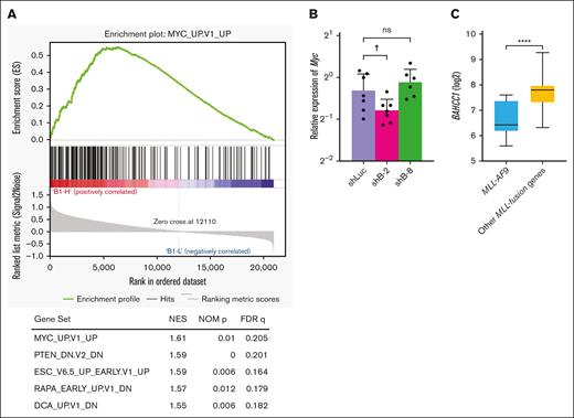 BAHCC1 is critical for MLL-rearranged AML. (A) Gene set enrichment analysis (GSEA) of MLL-rearranged AML samples (GSE1785536) with high (B1-H, n = 9) and low (B1-L, n = 9) expression of BAHCC1 using C6 oncogenic signature gene sets. GSEA plot using the most enriched gene set, MYC_UP.V1_UP,38 and a list of the top 5 enriched gene sets are shown (filtered by NOM (nominal) P < .05 and FDR q < 0.25). NES, normalized enrichment score. (B) RT-qPCR of Myc in colony-forming cells derived from the Bahcc1-depleted cells shown in Figure 3C. Bar graphs show the mean with SD of at least 3 independent experiments. (C) Expression levels of BAHCC1 in AML samples (GSE1957739) with MLL-AF9 (n = 11) and other MLL-fusion genes (n = 31). Data are shown in box and whisker plots. †P = .054; ∗∗∗∗P < .0001; ns, not significant ANOVA followed by Dunnett multiple comparison for panel B and Mann-Whitney U test for panel C.