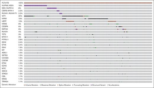 Cooccuring alterations in pediatric and young adult FLT3-ITD AML. Genes with alterations, including missense and truncating mutations and fusions with a frequency of >1%.