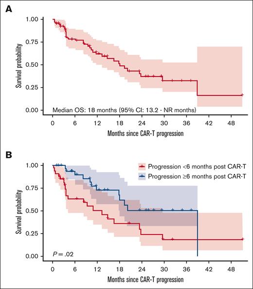 Overall survival curves post-CAR-T relapse. (A) OS after initial BCMA-directed CAR-T relapse. (B) OS stratified by disease progression <6 months or ≥6 months after initial BCMA-directed CAR-T.