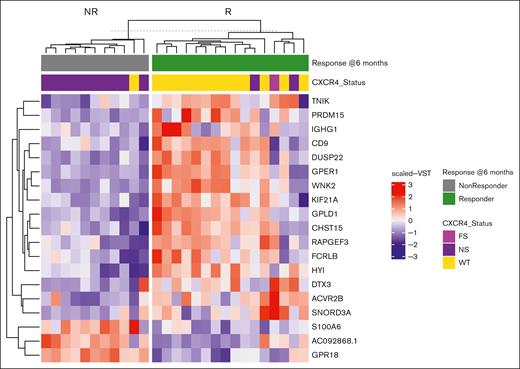 Top gene candidates from ElasticNet analysis distinguishing response groups. ElasticNet heat map for baseline expressed genes in MYD88-mutated patients with WM who received ibrutinib monotherapy on a clinical trial, and who attained a major response (green) or no major response (gray) at 6 months. The heat map shows the scaled VST gene expression levels selected by ElasticNet, which best predicts differences observed in response between the 2 groups. Each patient’s CXCR4 mutation status is shown above the heat map. FS, frameshift mutation; NS, nonsense mutation; VST, variance stabilizing transformation; WT, wild type.