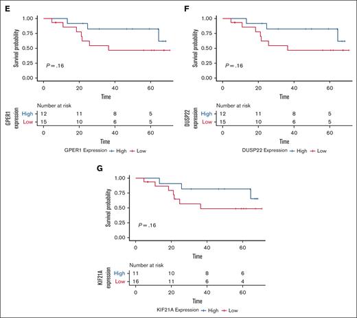 Multiomic identified biomarkers and progression-free survival in patients with WM receiving ibrutinib. Kaplan-Meier curves for PFS and risk tables for (A) GPR18, (B) WNK2, (C) CHST15, (D) PRDM15, (E) GPER1, (F) DUSP22, and (G) KIF21A. Tables show progression for high and low expressors of each candidate. Risk tables show progression data for each group.