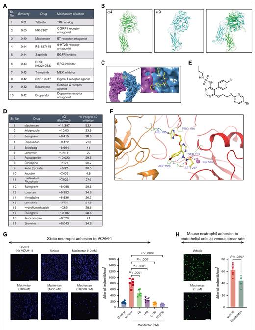 Pharmacogenomic profiling and virtual screening revealed macitentan as a potent inhibitor of the integrin α9/VCAM-1 interaction. (A) The top 10 concordant perturbagens with concordance scores >0.321 are shown using iLINCS portal based on RNA-seq of neutrophils of littermate controls and neutrophil–specific integrin α9−/− mice. (B) The template (green, α4 subunit) and target (cyan, α9 subunit) models. (C) The predicted α9β1 structure with an inhibitor. (D) List of top-19 compounds with binding energy and percentage inhibition of integrin α9 to VCAM-1. (E) Chemical structure of macitentan. (F) Docked pose of macitentan with integrin α9β1. (G) Representative images of neutrophil adhesion to VCAM-1 in presence of different concentration of macitentan (left); magnification, 10×; scale bar, 100 μm; and quantification (right). (H) Representative images of the mouse neutrophil adhesion to the activated mouse venous endothelial cells coated slides at venous shear rate (left); magnification, 20×; scale bar, 50 μm; and qualification (right). Data are mean ± SEM and analyzed by 1-way ANOVA followed by Sidak multiple comparisons test (G) or Mann-Whitney test (H); n = 6 (G); and n = 5 (H).