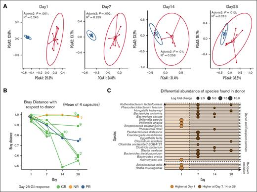 Compositional and differential changes over time. (A) Principal component ordinate analysis at baseline (day 1), day 7, day 14, and day 28 by donor (blue points) and recipient (red points). Blue square shape represents the median of the Euclidean distances for donor, and the red square shape represents median of the Euclidean distances for recipients. The red circle and blue circle showing 95% confidence interval based on the t-distribution of the Euclidean distance for donor and recipient respectively. R2 and P values derived using Adonis2 test are annotated for each day. (B) Bray-Curtis distances over the first 28 days from FMT with respect to average taxonomic composition of the 4 donor samples. Each line indicates individual participant’s beta diversity distance with respect to donor. Participant number labels indicate the last available data point for that participant. (C) Species shown to be significantly differentially abundant between baseline and day 7 or day 14 or day 28 with AncomBC analysis. Circles at day and species indicate the log fold change. Dotted line separates the days before and after FMT. Double dotted line with vertical gap separates the origins of species based on the fecal microbiome survey at baseline for recipient and donors. All species have adjusted P values <.05, minimum prevalence of 50% across all samples, and minimum absolute log fold change >1.