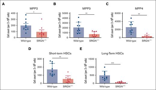 SRGN–/– mice have decreased bone marrow stem cell populations. Multipotent progenitor population cell counts determined by flow cytometry of whole marrow cells from 52-week-old mice and selection as follows: MPP2: CD45+Lin–Sca-1+c-Kit+Flt3–CD150+CD48+ (A); MPP3: CD45+Lin–Sca-1+c-Kit+Flt3–CD150–CD48+ (B); MPP4: CD45+Lin–Sca-1+c-Kit+Flt3+ (C). Each point represents a single mouse (n = 9). (D-E) Short-term HSC (ST-HSC) (D) and long-term HSC (LT-HSC) counts (E) determined by flow cytometry of whole marrow cells from 52-week-old mice and selection as follows: LT-HSCs: CD45+Lin–Sca-1+c-Kit+Flt3–CD150+CD48–; ST-HSCs: CD45+Lin–Sca-1+c-Kit+Flt3–CD150–CD48+. Each point represents a single mouse (n = 9). Significance: ns is indicated by P > .05; ∗P ≤ .05; ∗∗P ≤ .01; ∗∗∗P ≤ .001; ∗∗∗∗P ≤ .0001. All error bars represent the SEM.