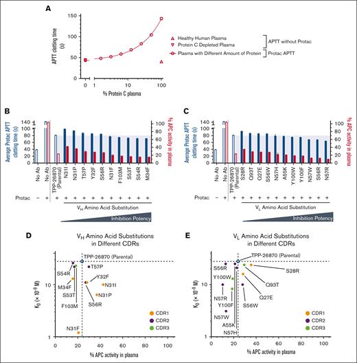 Effect of TPP-26870 amino acid substitutions on healthy human plasma APC anticoagulant activity. (A) Clotting time standard curve of protein C–depleted plasma in the Protac-APTT assay. Healthy human plasma was serially diluted in protein C–depleted plasma (o) to achieve a range of protein C levels from 1.56% to 100%. Protac is a fast-acting snake venom that rapidly converts available protein C into APC. Protac was added into these serially diluted samples with different amounts of protein C zymogen to establish a Protac-APTT clotting time standard curve in the presence of different percent of APC in plasma. The APTT clotting time of healthy human plasma (△) and protein C–depleted plasma (▽) in the absence of Protac are also shown (n = 3-6 independent experiments; most error bars are smaller symbols). (B) Protac-APTT clotting time (left; y-axis) and the percentage of APC activity remaining in plasma (right; y-axis) in the presence of TPP-26870 variants with amino acid substitutions on the VH. The percent APC activity in plasma of the TPP-26870 variants–treated samples was interpolated based on their clotting time against the standard curve in panel A (n = 6 independent experiments; some error bars are too small to appear). M34F provided the most reduction in the plasma clotting time and percent of APC in plasma. (C) Protac-APTT clotting time and the percent of APC anticoagulant activity in plasma in the presence of TPP-26870 VL variants (n = 6 independent experiments; some error bars are too small to appear). N57R provided the most inhibition. (D) Effects of VH amino acid substitutions on KD and inhibition of APC anticoagulant activity compared with the parental antibody TPP-26870 (KD, n = 2 independent measurements; APC activity, n = 6 independent measurements). (E) Effects of VL amino acid substitutions on KD and inhibition of APC anticoagulant activity compared with the parental antibody TPP-26870 (KD, n = 2 independent measurements; APC activity, n = 6 independent measurements).