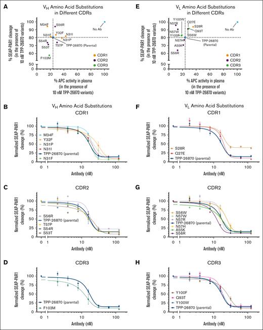 Effect of TPP-26870 amino acid substitutions within each CDR on APC-mediated cleavage of SEAP-PAR1 on HEK293 cells. (A) SEAP-PAR1 cleavage by APC in the presence of TPP-26870 VH CDR1 variants. The amount of SEAP released into the medium by APC without antibodies is defined as 100%. (B) SEAP-PAR1 cleavage in the presence of VH CDR2 variants. (C) SEAP-PAR1 cleavage in the presence of a VH CDR3 variant. (D) Identification of VH amino acid substitutions with improved APC anticoagulant activity inhibition and enhanced PAR1 cleavage compared with the parental antibody TPP-26870. (E) SEAP-PAR1 cleavage in the presence of VL CDR1 variants. (F) SEAP-PAR1 cleavage in the presence of VL CDR2 variants. (G) SEAP-PAR1 cleavage in the presence of VL CDR3 variants. (H) Identification of VL amino acid substitutions with improved inhibition of APC anticoagulant activity and enhanced PAR1 cleavage compared with the parental antibody TPP-26870. SEAP-PAR1 cleavage assay (n = 4-6 independent experiments).