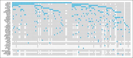 Mutations detected at diagnosis in the entire cohort. Each column corresponds to 1 patient. Each row corresponds to 1 gene. Gray squares indicate wild-type genes. White squares indicate unanalyzed genes. Blue squares represent mutated genes.