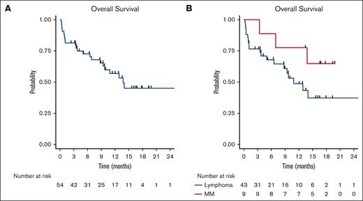 Cohort survival outcomes. (A) OS for full cohort. (B) OS for patients with lymphoma (blue) compared with those with myeloma (red).