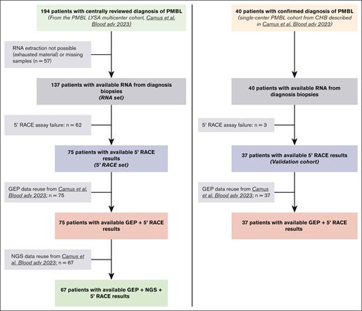 Study flowchart representing the different cohorts of the study based on biologic material availability (RNA set: n = 137; 5′RACE set: n = 75; validation cohort: n = 37).