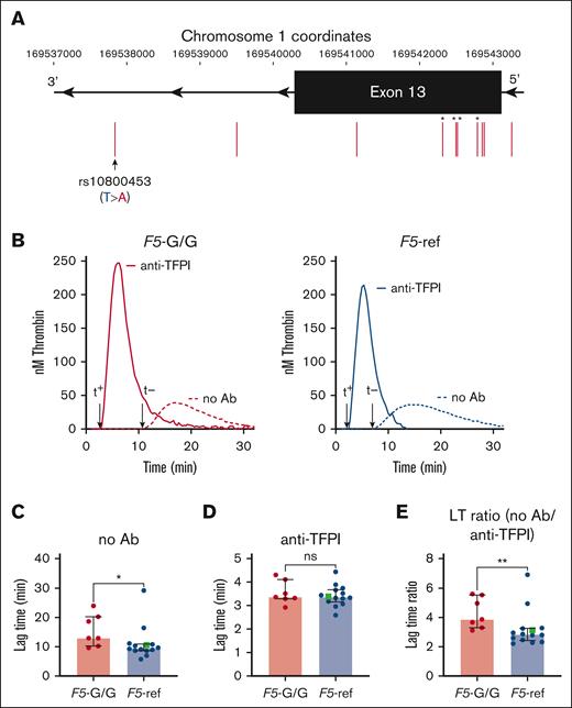 The G haplotype increases TFPIα function. (A) As in Figure 1A, a schematic representing exon 13 with flanking introns. However, the x-axis has been extended at the 3′ end to indicate rs10800453, which was shown in the INTERVAL study to be associated with increased plasma TFPI levels .50 The alternate allele of rs10800453, A, is in complete LD with the 4 SNVs (rs6032, rs4525, rs4524, and rs6021), originally assigned as the G haplotype (marked with asterisks), as are 22 other SNVs (supplemental Table 2) of which 5 are plotted on this diagram because they have genetic coordinates within the range of the x-axis. (B-E) The functional effect of the extended G haplotype on the TFPIα pathway was tested using thrombin generation assays. Thrombin generation was initiated by 1 pM TF in citrate plasma treated with corn trypsin inhibitor (CTI) in the presence of 4 μM phospholipids (20:60:20 DOPS/DOPC/DOPE), 16 mM CaCl2, and the presence or absence of inhibitory anti-TFPI Abs (77.5 μg/mL) (supplemental Methods). (B) Representative thrombin generation curves are shown for the median samples (based on LT ratio) of the F5-G/G and F5-ref groups. The arrows indicate the LT for each thrombin generation curve. (C-D) The effect of the G haplotype on the thrombin LT is shown in the absence (C) and presence (D) of inhibitory anti-TFPI Abs. (E) The ratio of thrombin LT obtained in the presence and absence of anti-TFPI Abs was calculated. For panels C-E, each data point represents the mean of 3 independent replicate analyses of individual samples and the height of the bar represents the median and the error bar the IQR. The green square refers to the results obtained from a plasma pool of 15 healthy individuals (supplemental Methods) as a comparison with the F5-ref group. This point was excluded from all statistical analyses. N.B. ns, nonsignificant; ∗P < .05; ∗∗P < .01.