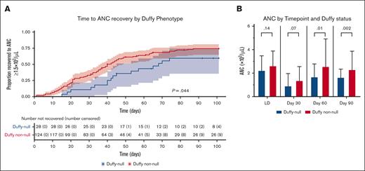 Duffy-null individuals show delayed ANC recovery after BCMA CAR-T. (A) Time to ANC recovery ≥1.5 × 103 cells per μL by Kaplan-Meier analysis for Duffy-null and Duffy non-null patients after BCMA-directed CAR-T therapy, with P value calculated by log-rank (Mantel-Cox) test and shaded confidence intervals shown for each curve. A total of 13 patients were censored before day 100 between the 2 groups, including 10 for disease progression (n = 2 Duffy-null), 1 for patient death (n = 1 Duffy-null), and 2 for end of available follow-up (n = 1 Duffy-null). (B) Mean ANC (×103/μL) at the start of lymphodepletion and at 30, 60, and 90 days after infusion in Duffy-null and Duffy non-null patients, with P values shown comparing groups by Welch's t-test. LD, lymphodepletion.