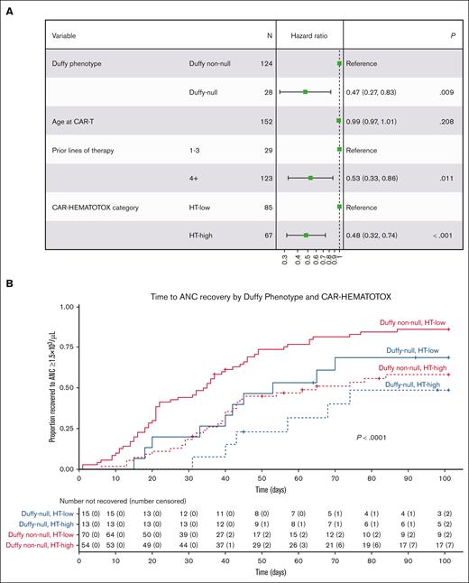 Duffy-null phenotype associated with delayed ANC recovery independent of other risk factors or CAR-HEMATOTOX score. (A) Multivariable forest plot with hazard ratios and 95% confidence intervals shown for each potential risk factor for delayed ANC recovery. P values calculated by Cox proportional hazards model, with Duffy-null phenotype, high CAR-HEMATOTOX score, and 4+ prior lines of therapy meeting statistical significance as independent risk factors for delayed recovery. (B) Time to ANC recovery by Kaplan-Meier analysis stratified by both Duffy antigen status and CAR-HEMATOTOX score, with P value calculated by log-rank (Mantel-Cox) test.