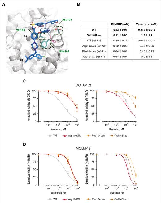 BCL2 variants have reduced activity to VEN in AML cells. (A) Structure of the BCL2 protein with venetoclax (blue) binding in the BCL2 groove.16 The positions of the 3 mutated residues are illustrated (green). P2 and P4 pockets and the azaindole side chain of venetoclax are indicated. (B) Table summarizing the binding affinities of BIM or venetoclax for WT or Val148Leu BCL2 as determined by direct binding assays in comparison with previously documented binding affinities for Asp103Glu, Phe104Leu, and Gly101Val BCL2 mutants. Data represent means ± 1 standard deviation (SD) of 3 independent experiments with curves and fits shown in supplemental Figures 2 and 3. (C-D) BCL2 WT, Asp103Glu, Phe104Leu, and Val148Leu were overexpressed in (C) OCI-AML2 and (D) MOLM-13 AML cell lines. In vitro viability assessed by flow cytometric enumeration of cells excluding propidium iodide upon exposure to indicated concentrations of venetoclax or navitoclax for 48 hours. Data represent means ± 1 SD of at least 3 independent experiments.