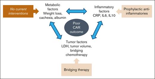 Proposed model of risk factors for poor CAR T-cell therapy outcomes.