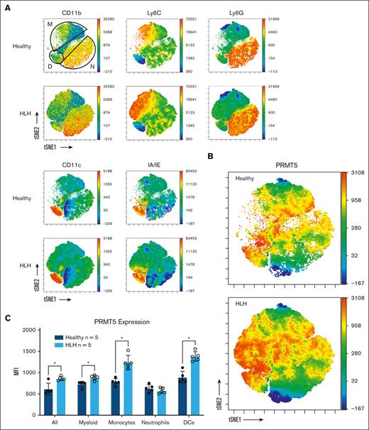 PRMT5 expression in monocytes and dendritic cells increases with the induction of HLH. (A) tSNE plot of dendritic cells (D), monocytes (M), and neutrophils (N), with heat maps showing identifying marks. D, CD11c+I-A/I-E+; M, Ly6C+Ly6G–; N, Ly6CloLy6G+. (B) Heat map of PRMT5 expression with the same clustering as shown in panel A. (C) Median fluorescent intensity (MFI) of total myeloid cells (D + M + N), monocytes, neutrophils, and dendritic cells positive for PRMT5 expression. Error bars show standard deviation. Multiple unpaired t tests with the Holm-Šídák method were used to determine statistical significance in panel C. ∗P < .05; ∗∗P < .01; ∗∗∗P < .001; ∗∗∗∗P < .0001.