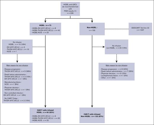 Flowchart. (1) Population included in the study, that is, with a FISH study allowing for the diagnosis of HGBL or non-HGBL and with a pathology report reviewed within the Lymphopath network. (2) Non-HGBL population of the DESCAR-T cohort not included in the study, compared with the included non-HGBL cohort.