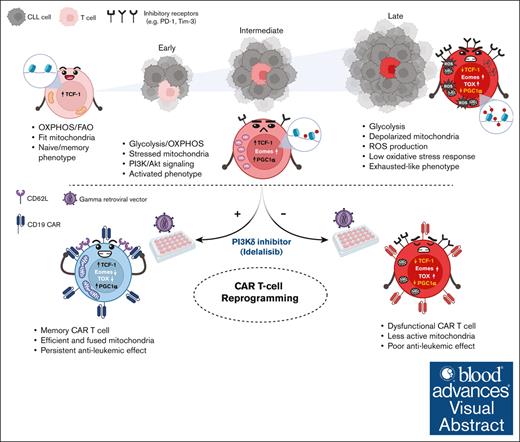 Created in BioRender. Gamal, W. (2025) https://BioRender.com/f82z772