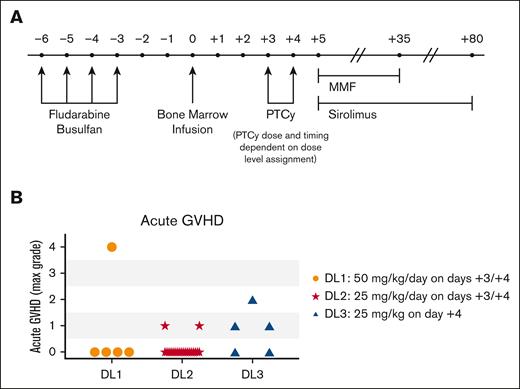 Treatment schema and aGVHD. (A) Treatment schema. (B) Maximal grade of aGVHD among evaluable patients (n = 5 each for DL1 and DL3; n = 20 for DL2). Patients without aGVHD but with death, graft failure, or relapse before day +60 were not included, as per the protocol these patients were considered inevaluable for the primary endpoint.