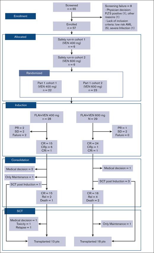 CONSORT diagram of the AML1718 trial safety run-in and part 1. CRi, complete response without platelet and neutrophils recovery; PR, partial response; pts, patients; Rel, relapse; SCT, stem cell transplant; SD, stable disease.