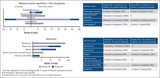 Adverse events grade 2+ reported in >5% of patients, classified according to NCI-CTCAE version 5.0. Adverse events are presented as related or not related according to the investigator’s judgment. Infections are presented in detail. CNS, central nervous system; NCI-CTCAE, National Cancer Institute-Common Terminology Criteria for Adverse Events.