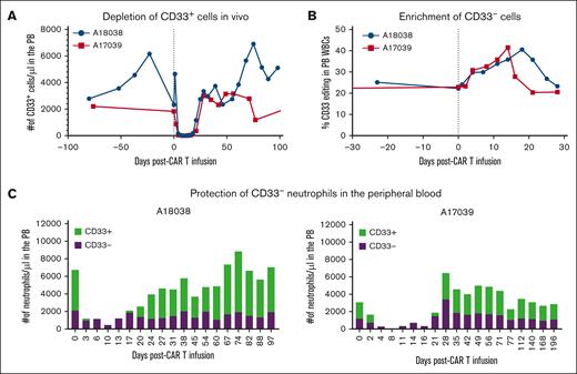 CAR33 treatment led to complete ablation of CD33+ events while sparing CD33null cells. (A) Depletion of CD33+ granulocytes in the PB in both treatment animals. Scaled proportion of CD33+ events by flow cytometry with absolute cell counts by complete blood counts (CBC). (B) Measured CD33 editing in bulk WBCs before and immediately after CAR33 treatment. Editing measured by ddPCR (A17039) and MiSeq (A18038). (C) Proportions of CD33+ and CD33− granulocytes after CAR33 treatment. Granulocyte identity and CD33 positivity determined by flow cytometry and scaled using absolute cell counts from CBC.