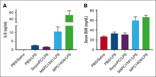The effect of SerpinPC and anti-PC/APC antibodies in a sublethal LPS model. Serum IL-6 (A) and BUN levels (B) 13 hours after WT mice were given a sublethal dose of LPS and either vehicle (PBS), 10 mg/kg SerpinPC, or 10 mg/kg control antibodies MAPC1591 or MPC1609. MPC1609 conferred lethality in this model and increased serum IL-6 and BUN levels relative to PBS-treated mice. MAPC1591 did not cause lethality but did significantly increase both markers relative to the vehicle control (IL-6, P = .0431; BUN, P = .0309). In contrast, SerpinPC reduced IL-6 relative to vehicle (P = .0309), and had no effect on serum BUN levels relative to PBS controls. Controls from mice treated with PBS and saline, instead of LPS, are included.