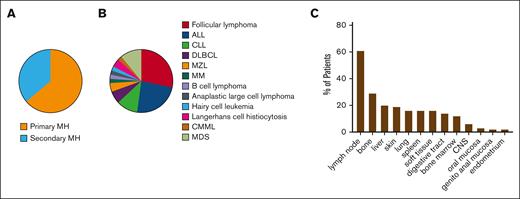 Clinical characteristics of MH at diagnosis. (A) Proportion of MH classified into primary or secondary MH. (B) Frequency of hematologic malignancies in secondary MH. (C) Organs affected by MH are listed in order of frequency. CLL, chronic lymphocytic leukemia; CMML, chronic myelomonocytic leukemia; CNS, central nervous system; DLBCL, diffuse large B-cell lymphoma; MDS, myelodysplastic syndrome; MM, multiple myeloma; MZL, marginal zone lymphoma.