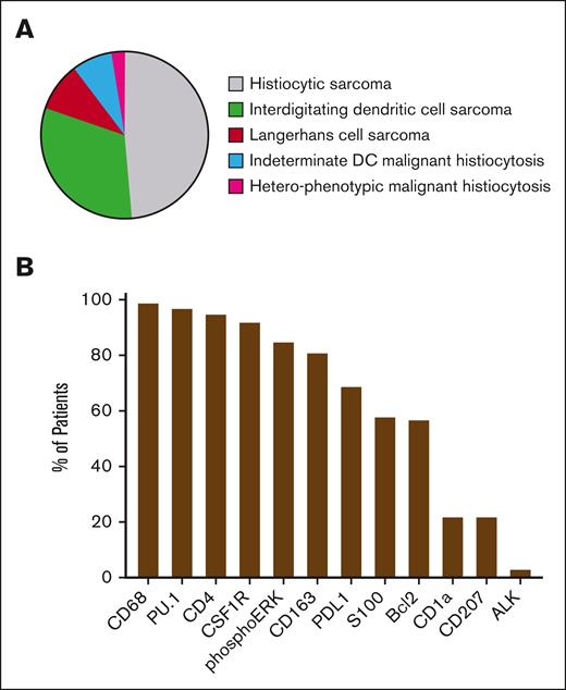 Phenotype of MH at diagnosis. (A) MH were classified into World Health Organization subtypes according to expression of macrophages and dendritic cell markers. (B) Immunohistochemistry markers expressed by tumoral cells in order of frequency. DC, dendritic cell.