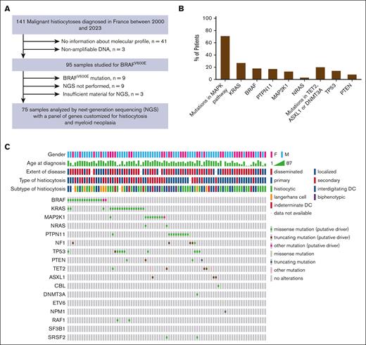 Molecular characteristics of MH at diagnosis. (A) Flowchart indicating the molecular analysis. (B) Mutations observed in MH cases are listed in order of frequency. (C) The Oncoprint tab of different molecular mutation found in patients with MH analyzed by NGS. Each column represents a tumor sample. The first 5 rows summarized the principal clinicopathological information and each following row represents a gene. DC, dendritic cell.