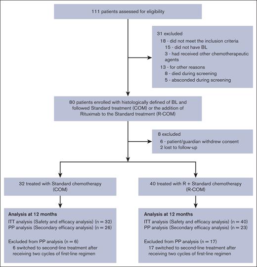 Enrollment, treatment, and follow-up of the patients.