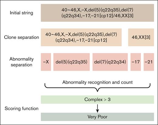 Visual flowchart of autocyto cytogenetic string function process.