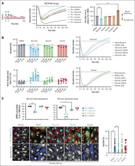 Bosutinib and nilotinib can attenuate Thr-induced barrier disruption in HBMECs. (A) Left, schematic overview. An xCELLigence assay was used to measure thrombin (Thr)-induced barrier disruption in an HBMEC monolayer. Traces were normalized to media control. KIs (0.5 μM) were added 7 minutes after Thr to assess barrier protective activity. Right: the total change in the cell index is summarized as the area under the curve (AUC) quantification relative to that of DMSO treatment (100%). The data are presented as mean ± standard deviation (SD; n = 3, each done in duplicate). (B) Dose titration of bosutinib, nilotinib, and imatinib in the xCELLigence assay in Thr-treated HBMECs. The data are presented as mean ± SD (n = 5, each done in triplicate). (C) Top, quantification of Thr-induced barrier permeability at the maximum disruption time point (25 minutes) and at a mid-recovery time point (50 minutes), determined using xCELLigence assay. The data are presented as means ± SD (n = 3, each done in duplicate). Bottom left, representative confocal images of HBMECs under resting or Thr-activated conditions at 50 minutes in the presence or absence of KIs (0.5 μM). The fluorescence of VE-cadherin (green), phalloidin (red), and DAPI (blue) are shown. Gaps are indicated as white arrowheads. Bottom right panel: the highlighted blue areas represent gaps in the monolayer. ImageJ quantification showing the percentage intercellular gaps per field, calculated from 8 uniformly sampled fields (n = 3). A 1-way analysis of variance (ANOVA), followed by Dunnett multiple comparison test, was used to analyze the data. ∗P < .05; ∗∗∗∗P < .0001.