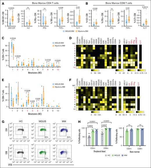 Functional profiles of immune cells in MGUS/MM. (A) Cytokine secretion (GM-CSF, IL-2, IFN-γ, TNF-α, and IL-17) by CD4 T cells in bone marrow (BM) mononuclear cells from MGUS (n = 12) and MM (n = 17), after stimulation with anti-CD2/3/28. (B) Cytokine secretion (IL-2, IFN-γ, TNF-α, and IL-17) by CD4 T cells in BM mononuclear cells from MGUS (n = 12) and MM (n = 17), after stimulation with anti-CD2/3/28. Flow cytometry self-organizing map clustering of mass cytometry data on BM CD4+ T cells (C-D) and CD8+ T cells (E-F) from MGUS (n = 12) and MM (n = 17). Panels C,E show proportions of MC in patients with MGUS/MM. Panels D,F are heat maps showing phenotypes of MC. (G-H) T-cell proliferation after stimulation with anti-CD2/3/28. In panel G, representative plot shows proliferation of carboxyfluorescein succinimidyl ester-labeled peripheral blood T cells. In panel H, bar graph shows proliferating CD4 and CD8 T cells in blood (right image; healthy controls, n = 10; MGUS, n = 7; MM, n = 7) and BM (left image; MGUS, n = 5; MM, n = 5). In panels A-C and E, box plots represent median with Q1 to Q3 and error bars as minimum-maximum. P values were calculated using a 2-tailed Mann-Whitney. In panel H, bar graph shows proliferating CD4 and CD8 T cells in blood (left image; HC, n = 10; MGUS, n = 7; MM, n = 7) and BM (right image; MGUS, n = 5; MM, n = 5). P values were calculated using a 2-tailed Mann-Whitney. ns, not significant.