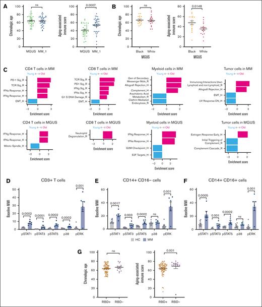 Correlates of immune aging. (A) Chronologic age (ChrAge) and AAIS in patients with MGUS (n = 36) and NDMM (MM_1; n = 41). (B) ChrAge and AAIS in Black (n = 16) and White patients with MGUS (n = 18). (C) Transcriptional profiles related to immunologic aging in MM and MGUS. Data shown are top enriched pathways based on pathway analysis (hallmark, _H; reactome, _R) of differentially expressed genes from immune-old (n = 5) vs immune-young patients with MM (n = 4) and immune-old (n = 7) and immune-young patients with MGUS (n = 7) (split by median AAIS) in CD4 T cells, CD8 T cells, myeloid cells, and tumor cells. Pathways in pink are enriched in immune-aged and those in blue are enriched in immune-young. Detection of baseline levels of phosphoproteins (pSTAT1, pSTAT3, pSTAT5, p38, and pERK) by mass cytometry in circulating CD3+ T cells (D), CD14+16– monocytes (E), and CD14+16+ monocytes (F) in healthy controls (n = 10) and MM (n = 6). (G) ChrAge and AAIS in patients with MM who developed receptor-binding domain (RBD–) binding antibodies after severe acute respiratory syndrome coronavirus 2 vaccination (RBD+; n = 69) vs those who did not (RBD–; n = 14). Each dot is a unique patient. P values were calculated using a 2-tailed Mann-Whitney. Bar graphs represent mean ± SEM. P values were calculated using a 2-tailed Mann-Whitney. EMT, epithelial-mesenchymal transition; G2M, G2/mitosis; H, hallmark; MMI, median metal intensity; ns, not significant; R, reactome; TCR sig, T cell receptor signature.