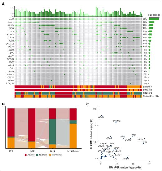 Mutational and ELN risk profile of patients with MPN-AP/BP. (A) Oncoprint shows an integrated annotation of mutations and ELN risk categories. Patients are organized in columns with genes labeled along the rows. Bar plots illustrate the mutations per patient (top) and the frequency of mutations in the cohort (right). ELN risk classifications are color-coded (bottom). The green square marks a mutated gene. (B) The Sankey plot displays the changes in risk assignment across the 2017, 2022, 2024, and refined 2024 ELN criteria. (C) Dot plot representation of the mutation frequency in the BEAT AML cohort of patients and MPN AP/BP patients. Overlapping sequenced genes are depicted.